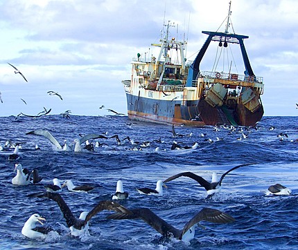 U.E. Vai Pagar a Pescadores para Recolherem Plástico do Mar