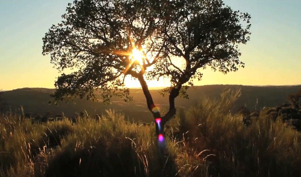 Vídeo “Portugal – Terra” A Beleza Natural do Nosso País