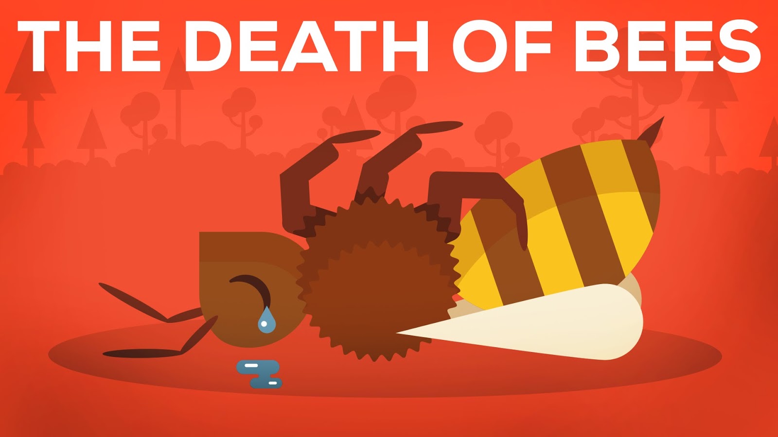 A Morte das Abelhas Explicada – Parasitas, Veneno e Humanos [Vídeo]