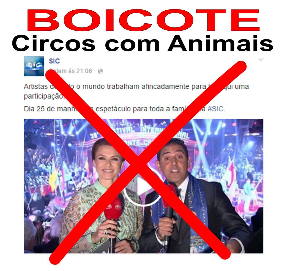 Protesto contra a Exibição de um Circo com Animais Selvagens na SIC