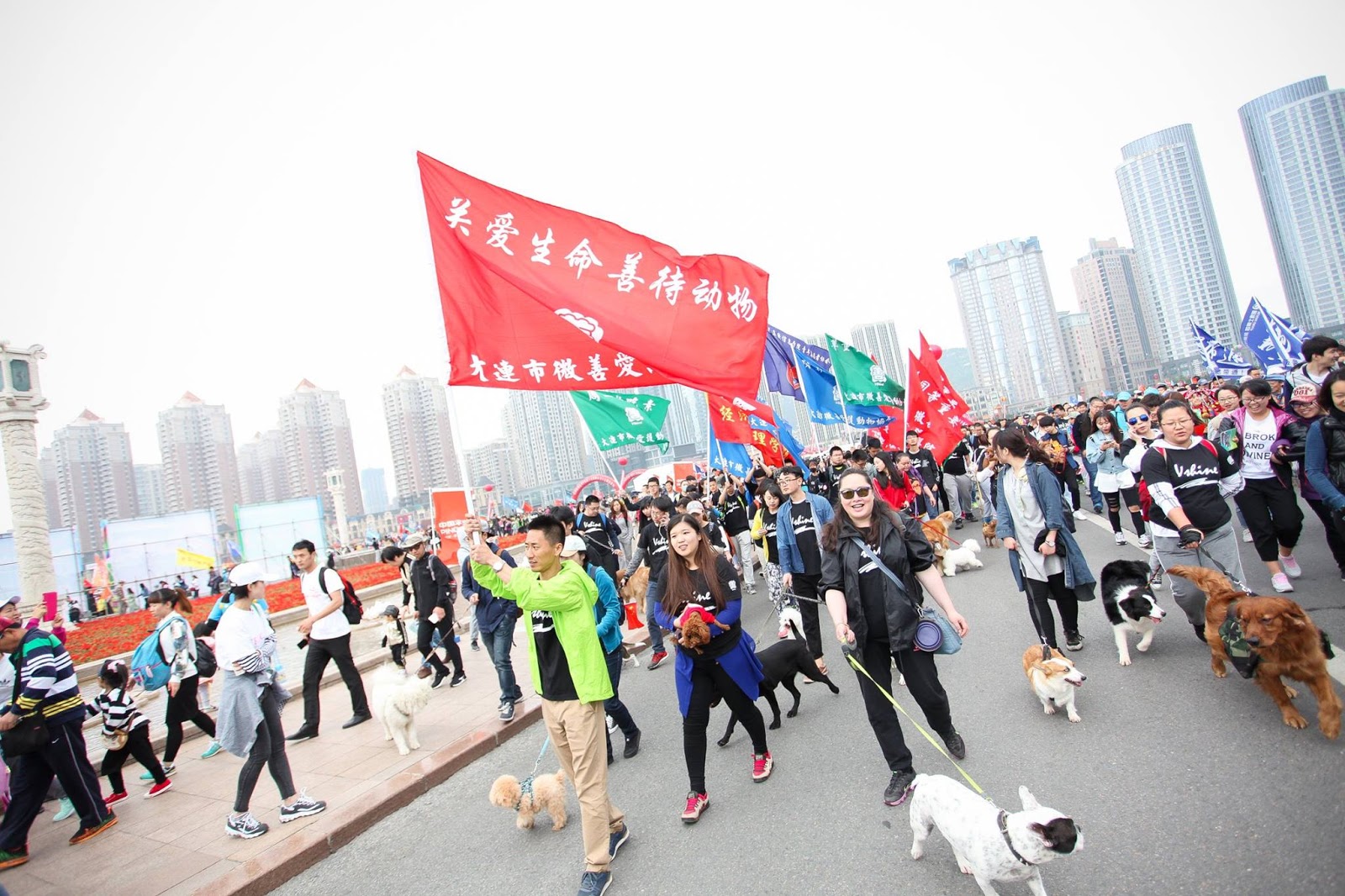 Manifestação na China contra Festival Yulin