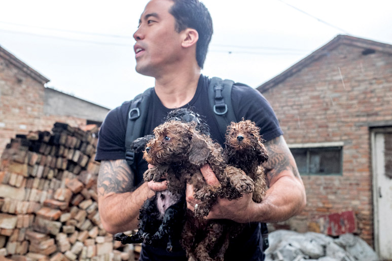 Marc Ching a resgatar um cão