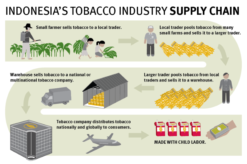 Infográfico do Tabaco na Indonésia