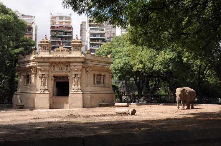 Buenos Aires Fecha Zoo após 140 Anos por Considerar “Cativeiro Degradante para Animais”