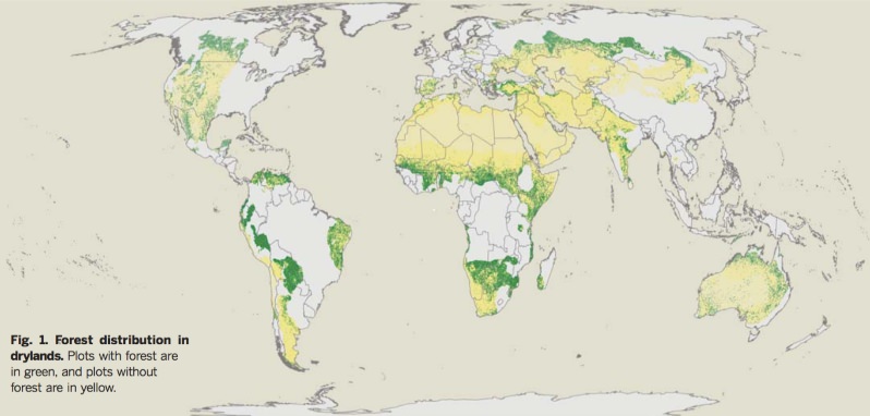 Mapa: A distribuição das florestas nas terras áridas