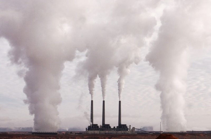 As empresas poluidoras devem pagar por destruírem a natureza, não os contribuintes, diz diretor da UNEP