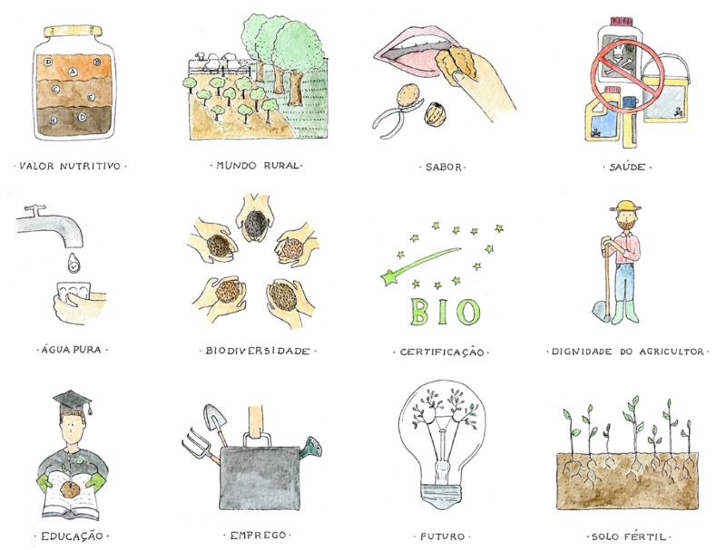 Ilustração: 12 razões para consumir bio