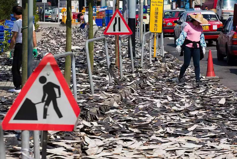 Barbatanas de tubarão secam no distrito Sheung Wan de Hong Kong