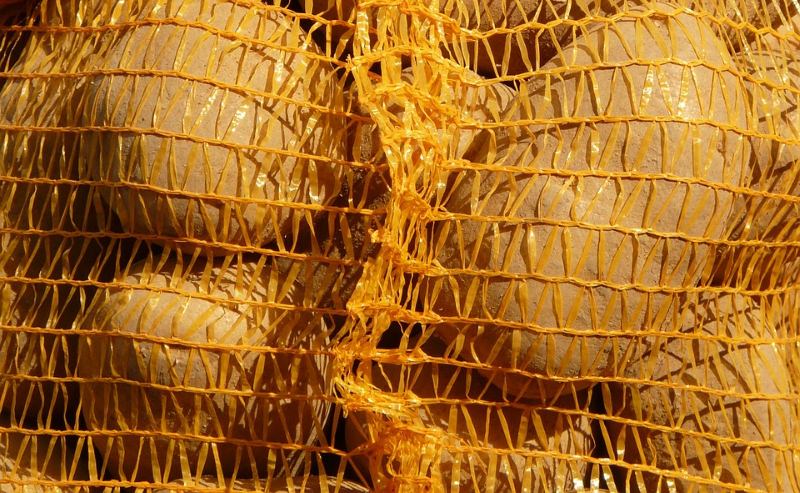 Os sacos de rede das batatas e cebolas podem ser colocados no ecoponto amarelo?