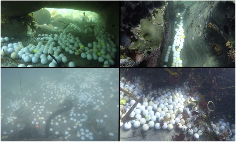 Bolas de golfe no fundo marinho do Santuário da Baía de Monterey