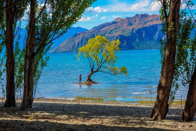 Nova Zelândia pede a turistas para se comprometerem a proteger a natureza do país