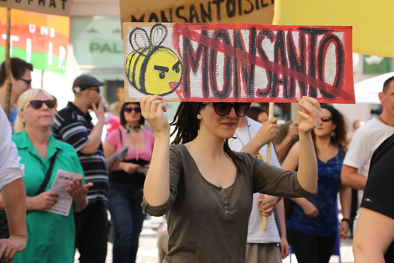 Monsanto declara-se culpada de pulverizar pesticida ilegal no Havai