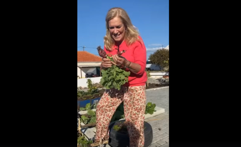 Teresa Guilherme apresentou-nos a sua hortinha num vídeo no Instagram
