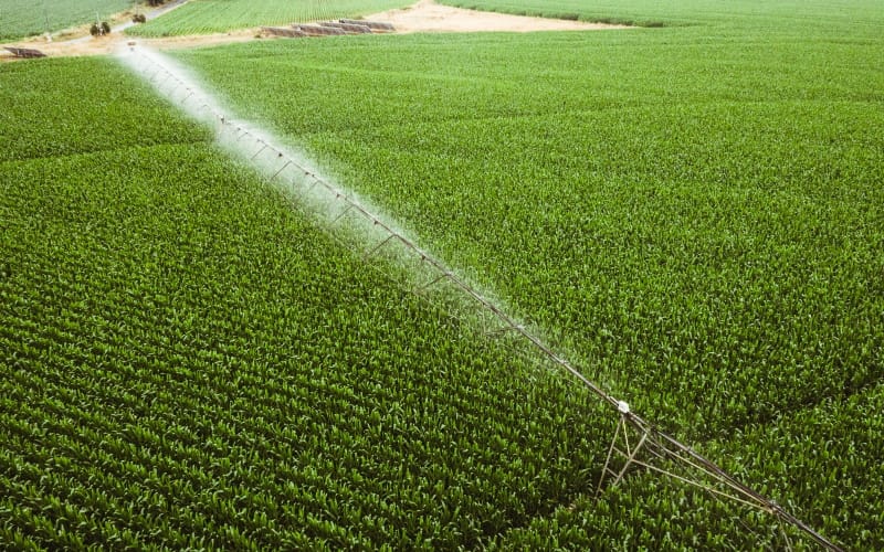 Agricultura e Pecuária são responsáveis por 75% da água utilizada em Portugal