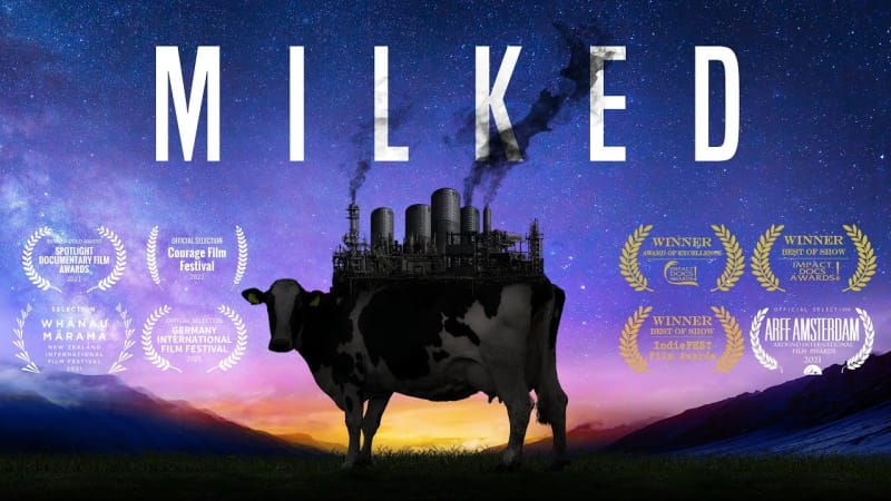MILKED, as mentiras da Terra do Leite [documentário]