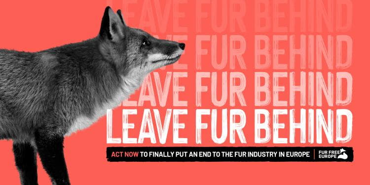 Assine a petição Fur Free Europe