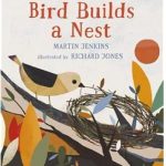 bird builds a nest