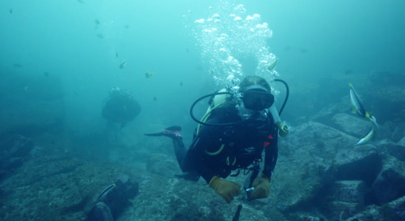 Pingo Doce promove limpeza do fundo do mar na Figueira da Foz