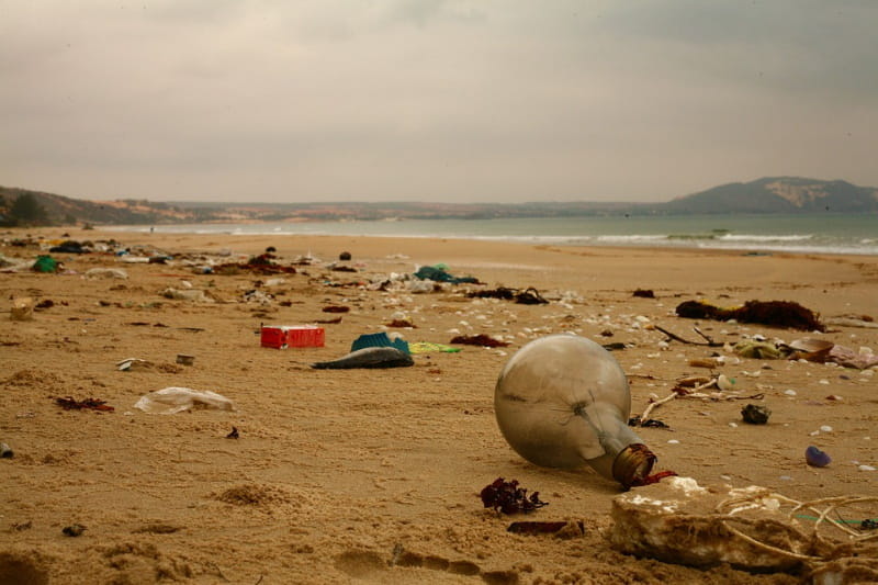 Podemos colocar embalagens de plástico de limpezas de praia no ecoponto amarelo?