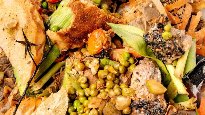 Portugal: 1 milhão de toneladas de alimentos desperdiçados por ano