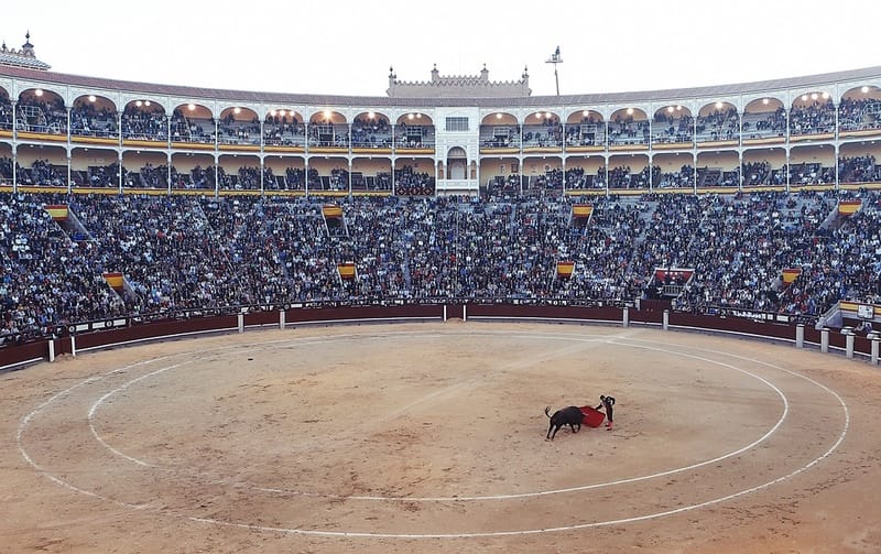 Fernando Tordo: o touro “sofre ali e sofre muito mais depois de sair” da tourada