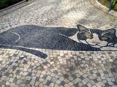 gato calçada portuguesa