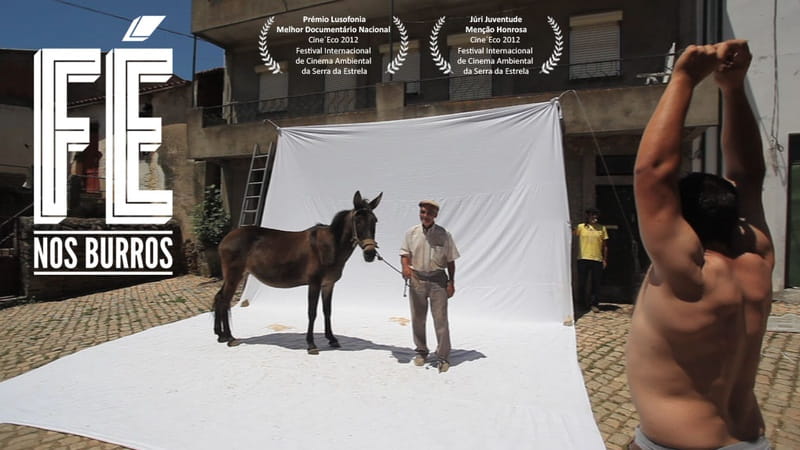 “Fé nos Burros”, um documentário português sobre burros, mulas e machos