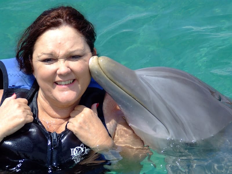 Empresa dos Açores deixa de promover natação com golfinhos pelo impacto nos animais